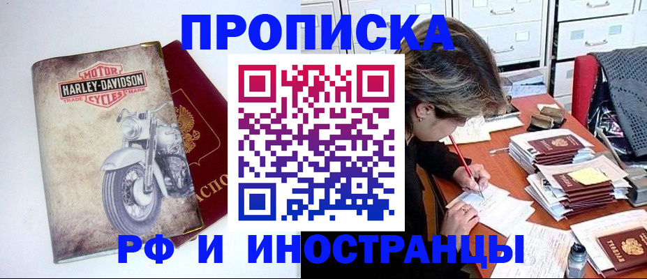 прописка паспорт в Курчалом